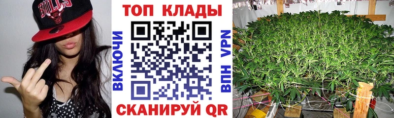 Магазины продажи наркотиков Себеж Псилоцибиновые грибы  Кокаин  АМФ  Меф  НБОМе  ГАШ  МЕТАДОН 