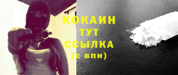 мдпв Рославль