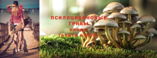 ECSTASY Заволжье